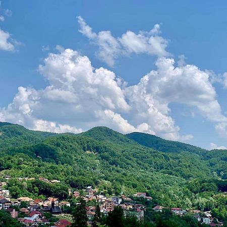 ホテル Casa Olanesti Băile Olăneşti エクステリア 写真