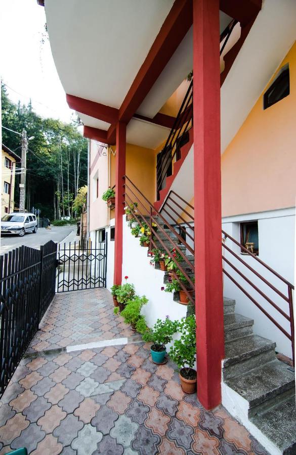 ホテル Casa Olanesti Băile Olăneşti エクステリア 写真