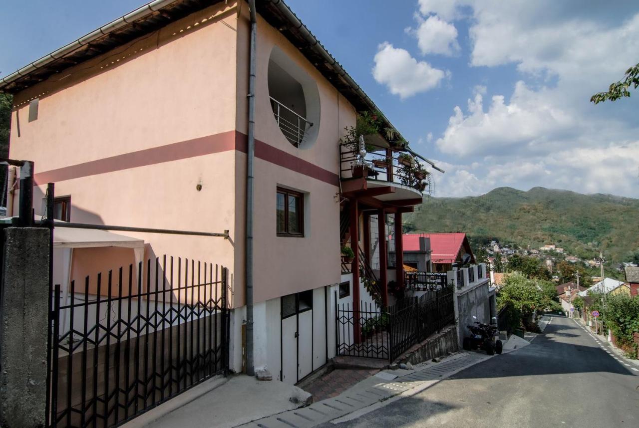 ホテル Casa Olanesti Băile Olăneşti エクステリア 写真
