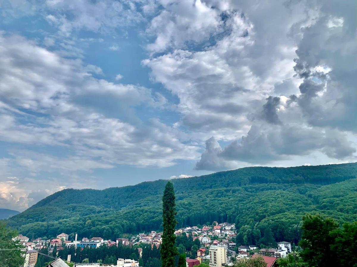 ホテル Casa Olanesti Băile Olăneşti エクステリア 写真