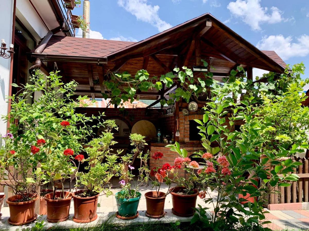 ホテル Casa Olanesti Băile Olăneşti エクステリア 写真